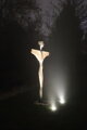 The core of the Angel 