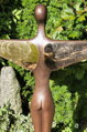 The core of the Angel