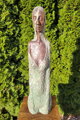 Hairy woman - torso