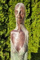 Hairy woman - torso