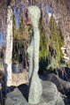 Hairy woman - torso