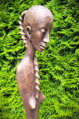 Girl torso - torso