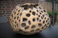 Natural corals
