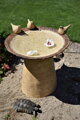 Drinking fountain with birds