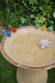 Bird Bath with Colorful Birds