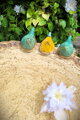 Bird Bath with Colorful Birds
