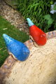 Bird Bath with Colorful Birds