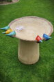 Bird Bath with Colorful Birds