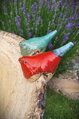 Bird Bath with Colorful Birds II