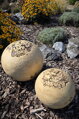 Set of Unglazed Ceramic Spheres
