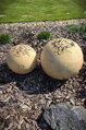 Set of Unglazed Ceramic Spheres