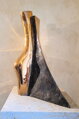 Torso
