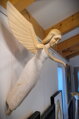 Angel III