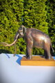 Columbian Mammoth