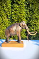 Columbian Mammoth