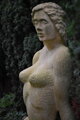 Dreamy Woman