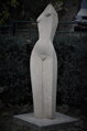 Torso of a woman