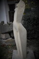 Torso of a woman