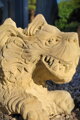 Year of the Dragon