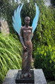 Dove