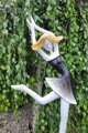 Ballerina