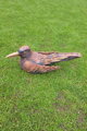 Bird II