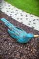 Big Bird II