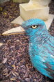 Big Bird II