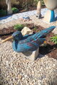 Big Bird III