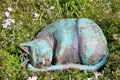 Cat's dream