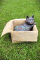 Tomcat in a box