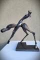 Dressage
