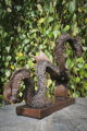 Chinese dragon