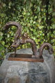 Chinese dragon