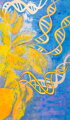 Mendel - Genetics
