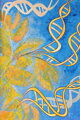 Mendel - Genetics