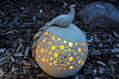 Decorative Ball with Peacock