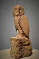 Barn owl