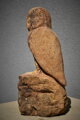 Barn owl