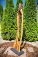  Mr. Root