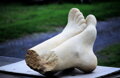 Feet