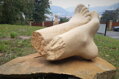 Feet
