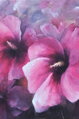 Hibiscus flowers - alizarin