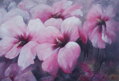 Hibiscus flowers - pink