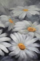 Gray daisies