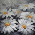 Gray daisies