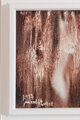 In the bark of a tree