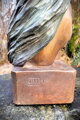 Hair (Dream)