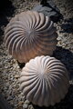 Sandstone balls