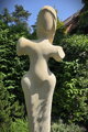 Dancing Aristocrat